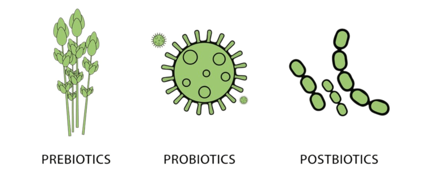 Probiotics