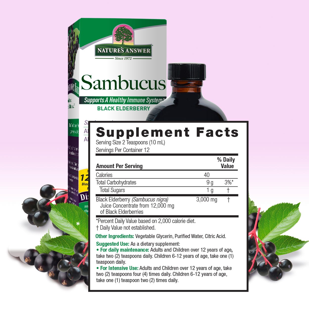 Nature’s Answer Sambucus elderberry supplement facts 120ml bottle