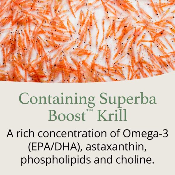 Supplement facts: Good Health Naturally Krill Oil supplement facts EPA DHA astaxanthin capsules 60 count