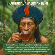 Rio Amazon Graviola Leaf Tea Infusion prepared herbal beverage 90 teabags