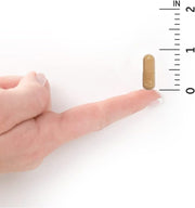 Size of Garden of Life Raw Women's Probiotic showing ingredients and directions.