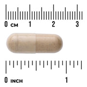 Swanson Full Spectrum Tribulus Fruit 500mg 90 Capsules herbal supplement capsule bottle 60 capsule size