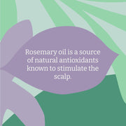 Faith In Nature Rosemary Stimulating Shampoo 400ml bottle ingredients