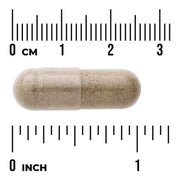 Swanson Full Spectrum Black Cohosh Root 540 mg capsule size comparison with measurement scale