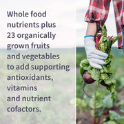 Garden of Life Raw B Complex Vitamin - Vegan Capsules with Probiotics