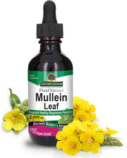 Nature’s Answer Mullein Leaf liquid extract low alcohol 2000mg 60ml bottle front view on a white background