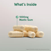 Jarrow Formulas mastic gum 1000mg veggie capsules daily supplement use