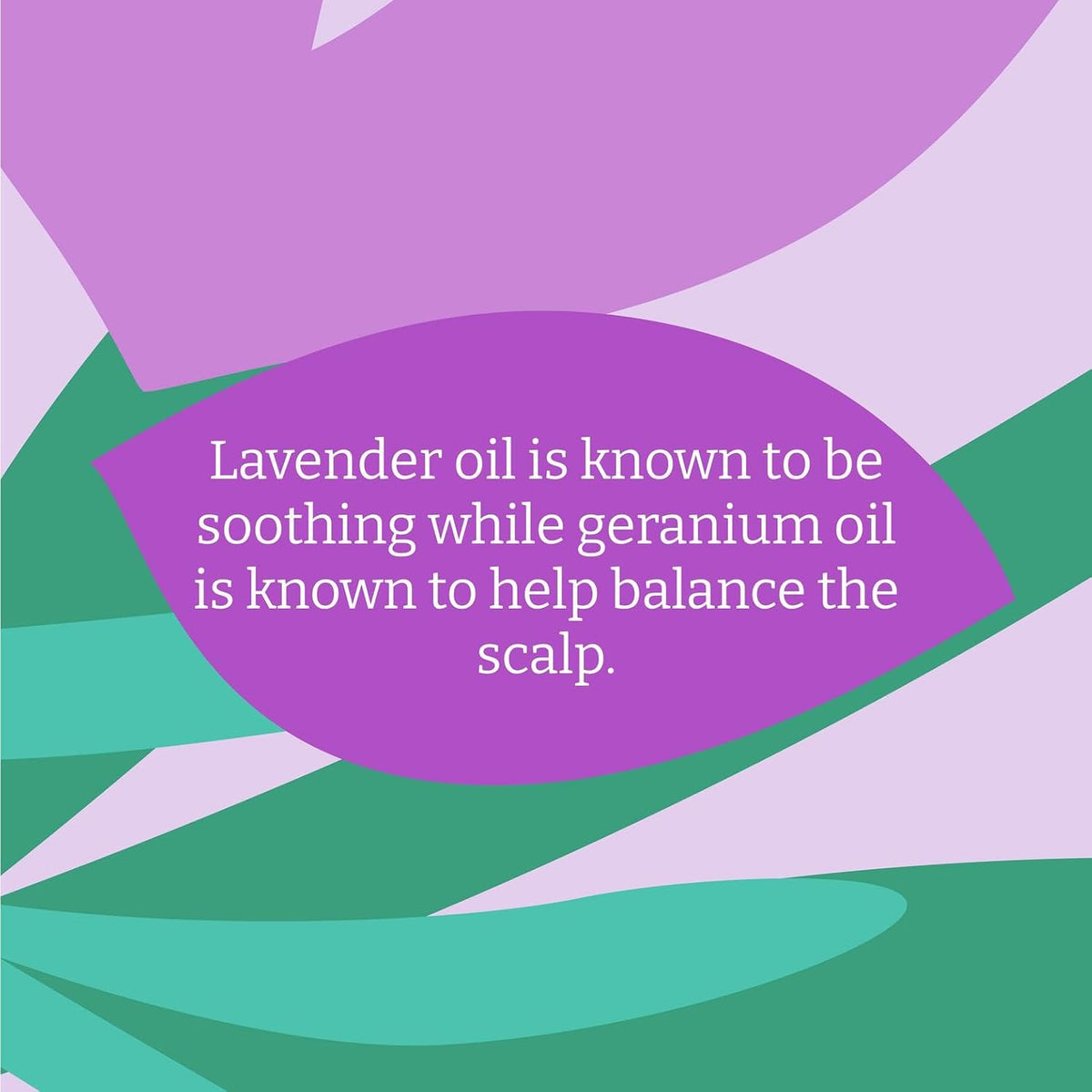 Faith In Nature Lavender & Geranium Conditioner Refill 5L bottle packaging ingredients