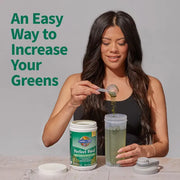Garden of Life Perfect Food Super Greens Formula Powder