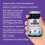 Garden of Life Dr. Formulated Prenatal DHA - 30 Softgels