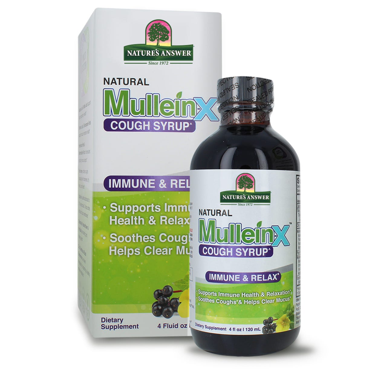 Nature’s Answer Mullein-X Herb & Honey Syrup 120ml bottle & boxfront view