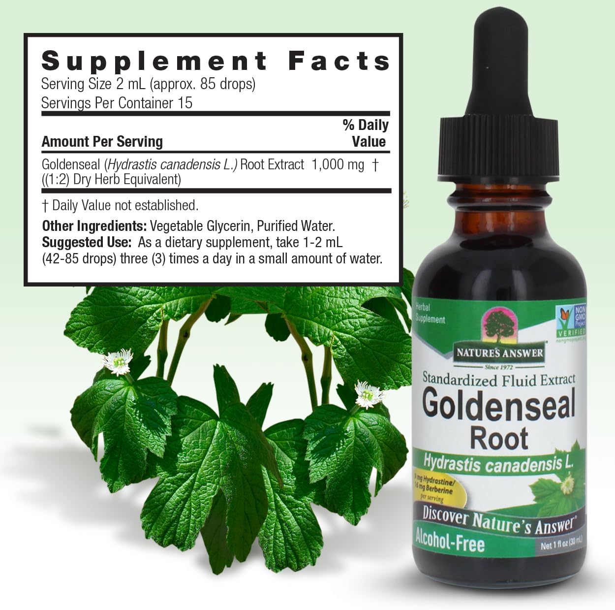 Nature's Answer Goldenseal Root Extract 30ml supplement facts and directions