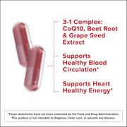 Qunol Beet Root CoQ10 Capsules 60 Count
