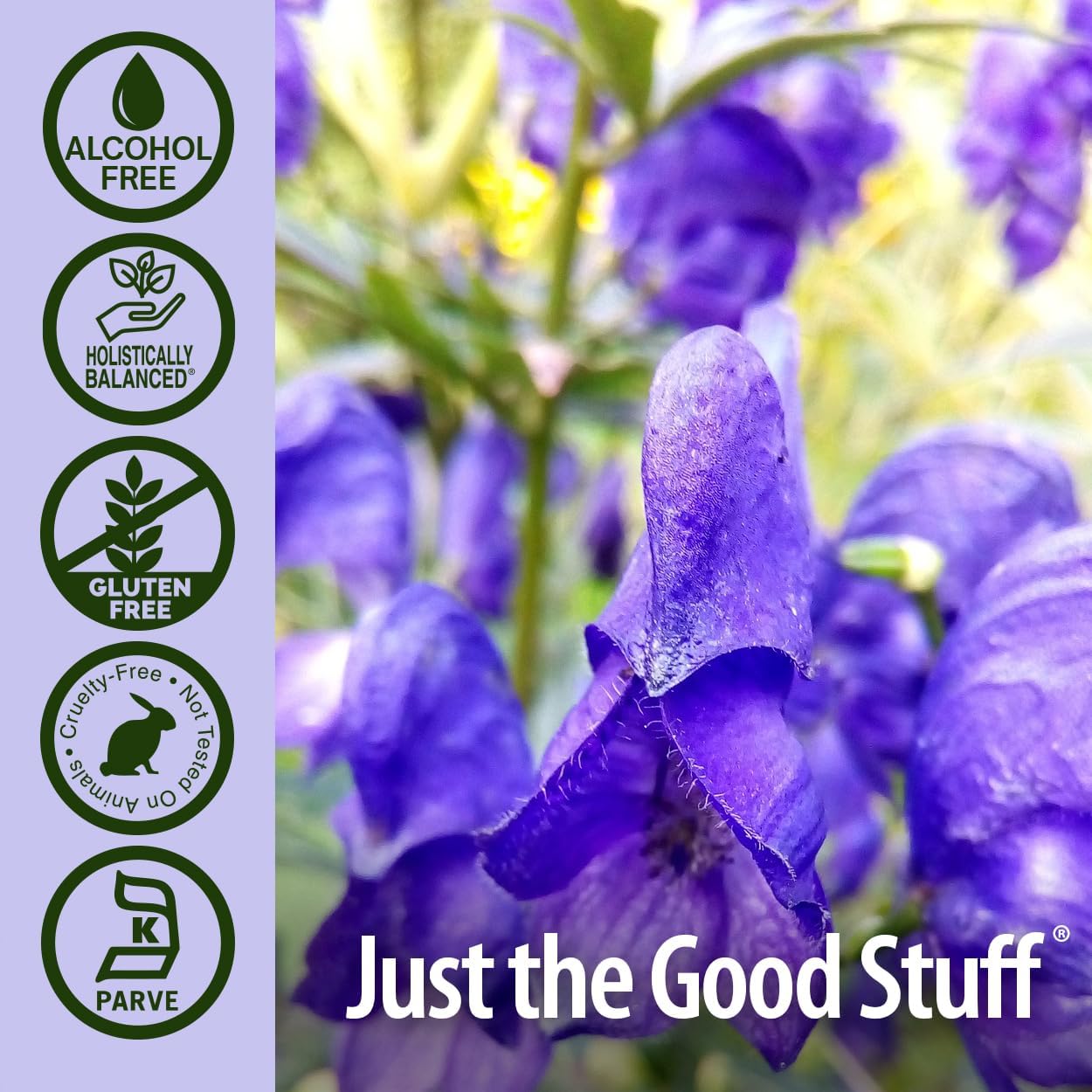 Nature's Answer Alcohol-Free Skullcap Herb Extract - 30ml