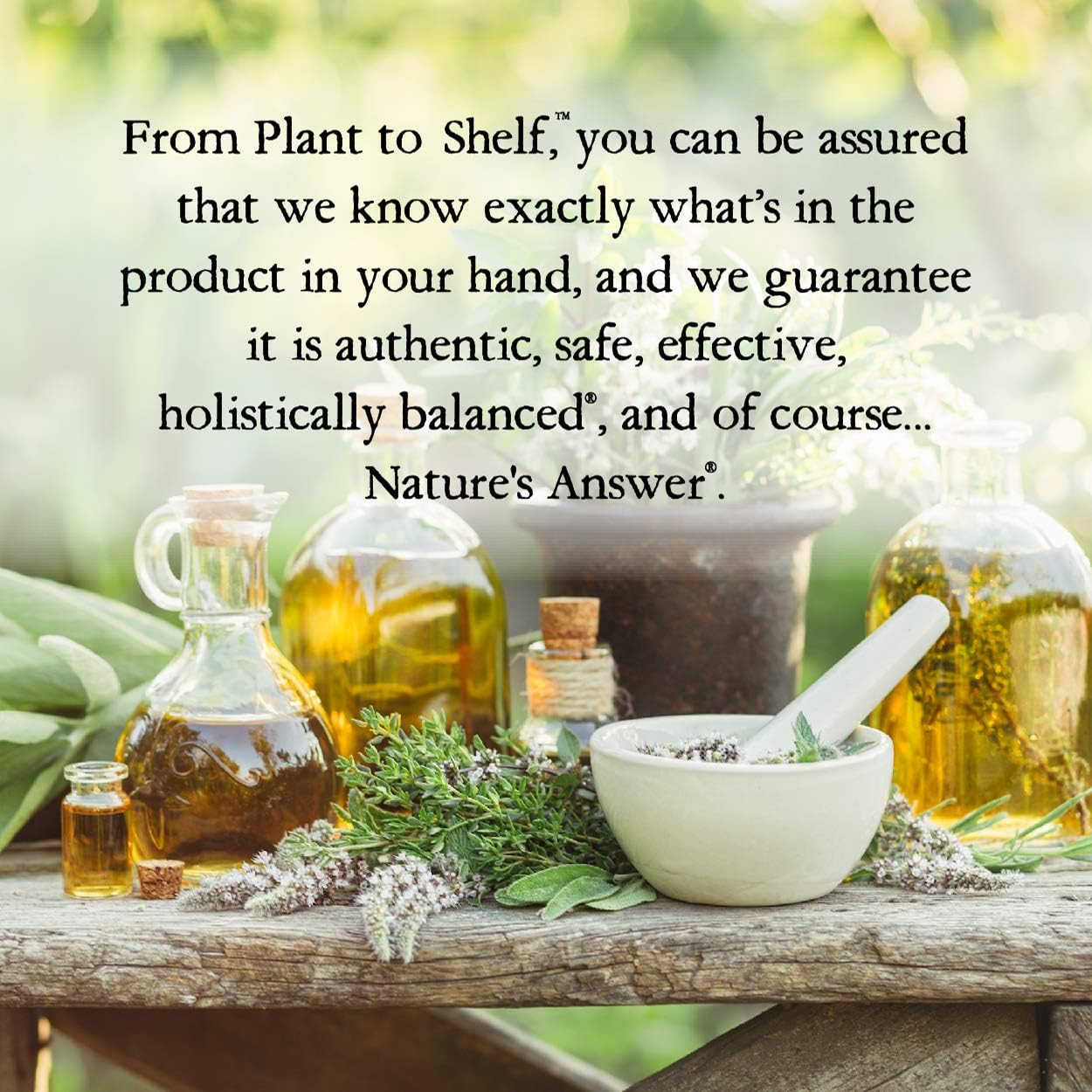 Nature’s Answer Men’s Herbal Food Supplement