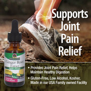 Nature’s Answer Ginger Root Herbal Liquid Supplement - 30ml