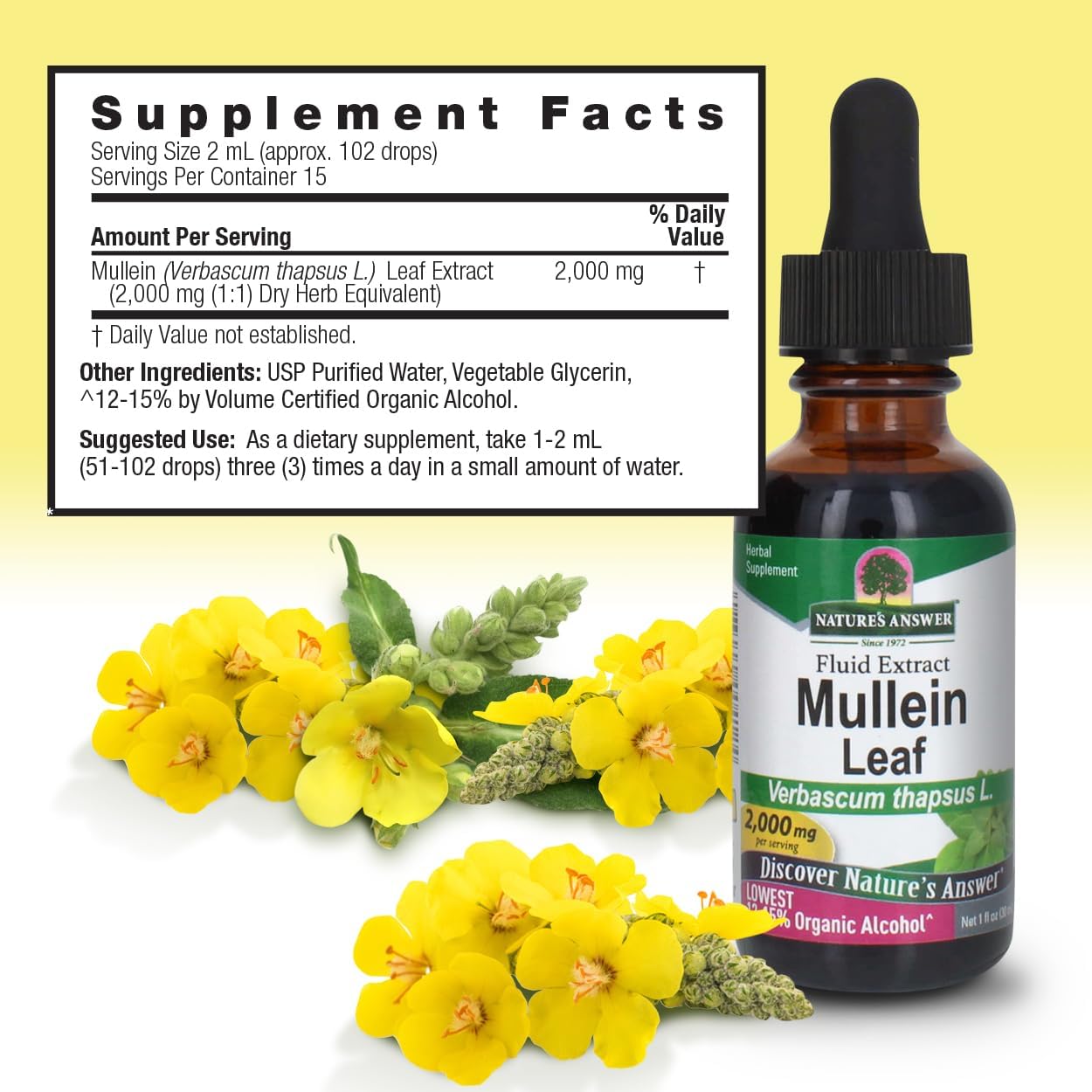 Nature’s Answer Mullein Leaf Liquid Extract 30ml supplement facts label on a white background