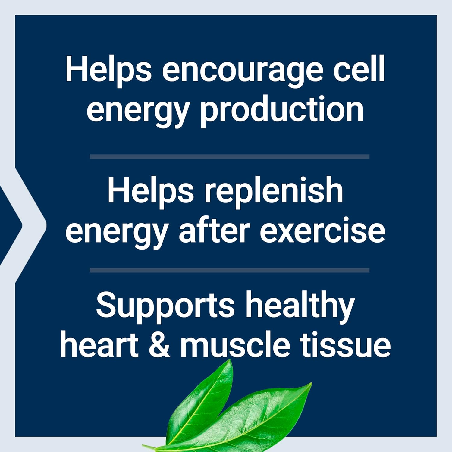 Life Extension D-Ribose Powder - 150g
