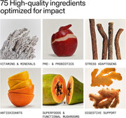 AG1 Greens Powder Supplement stick packs pineapple vanilla 5 x 13g supplement facts and ingredients