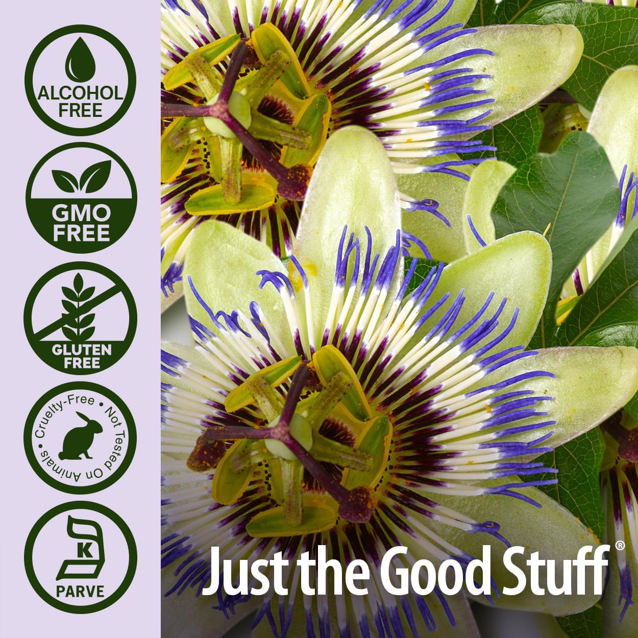 Nature’s Answer Passionflower Alcohol-Free Liquid Extract - 30ml