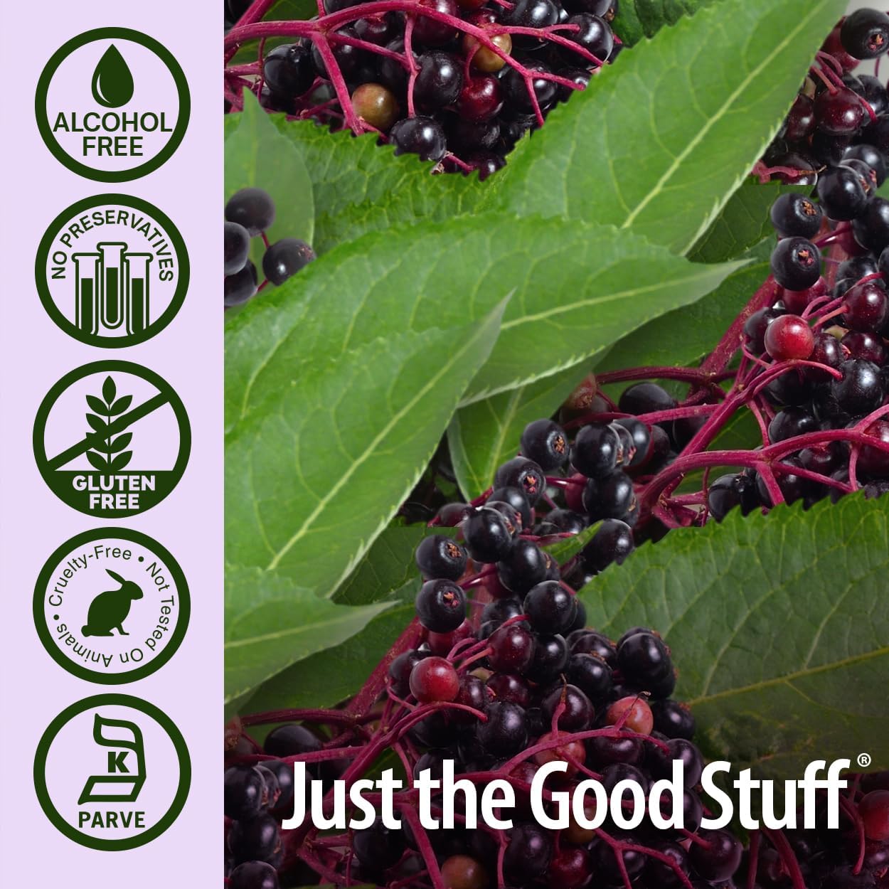 Nature’s Answer Sambucus Elderberry Spray Alcohol-Free - 60ml