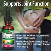 Nature’s Answer Celery Seed Liquid Extract Low Alcohol - 30ml