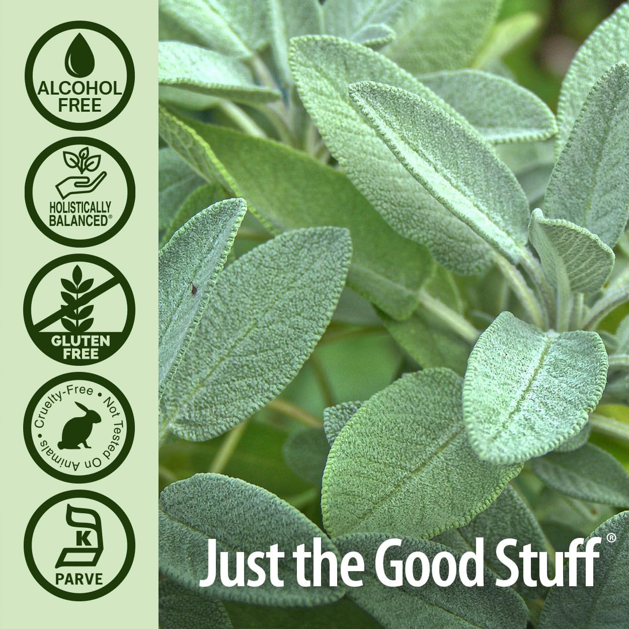 Nature's Answer Alcohol-Free Sage Leaf Extract - 30ml