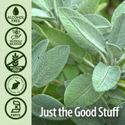 Nature's Answer Alcohol-Free Sage Leaf Extract - 30ml