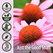 Nature's Answer Echinacea Liquid Extract Alcohol-Free