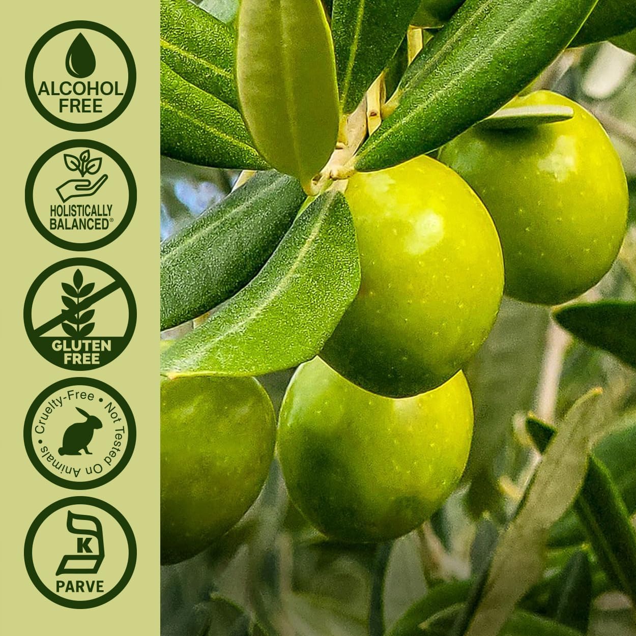 Nature’s Answer Olive Leaf Alcohol-Free Liquid Extract - 60ml