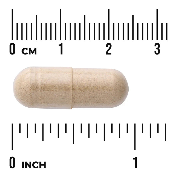 Swanson Full Spectrum Ashwagandha 450mg 100 Vegan Capsules Pack of 2 herbal supplement capsule bottle 60 capsule size