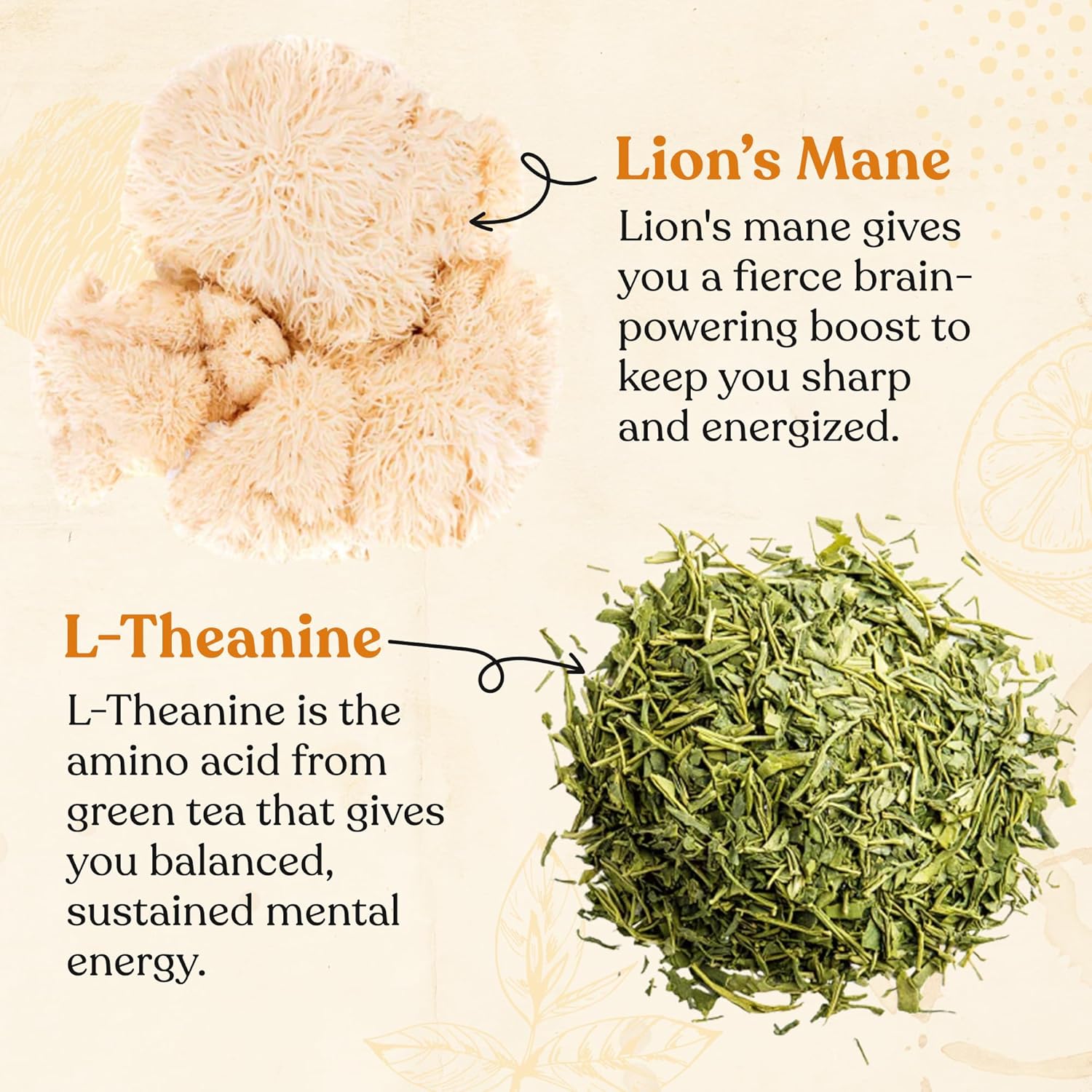 Four Sigmatic Organic Black Tea, L-Theanine & Lion's Mane
