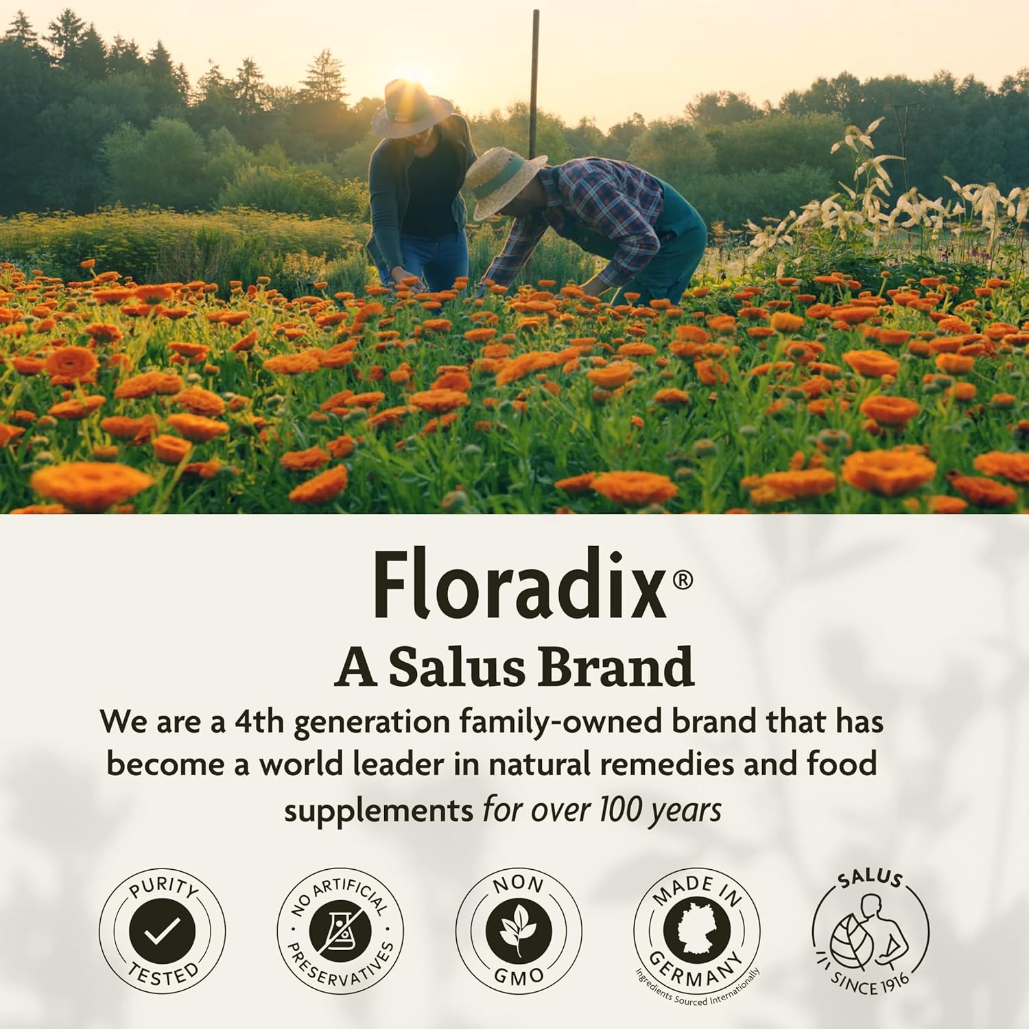 Floradix Epresat Liquid Multivitamin Formula 250ml. A Salus Brand