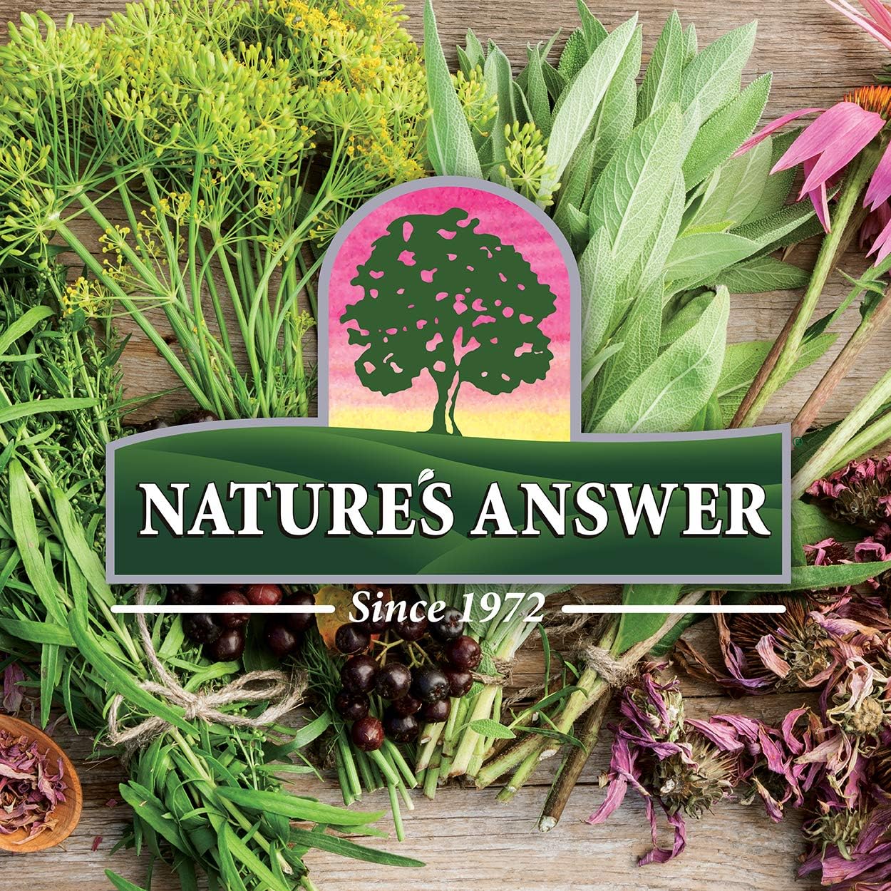 Nature's Answer Alcohol-Free Astragalus Root Extract