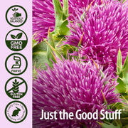 Nature’s Answer Milk Thistle Liquid Extract Low Alcohol - 30ml