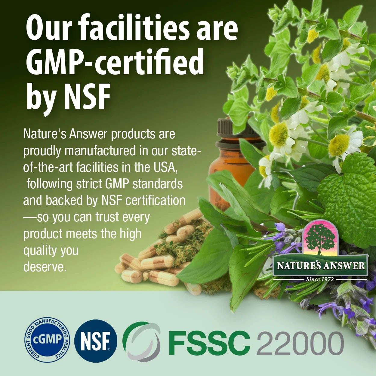 Nature's Answer Mullein Leaf Vegetarian Capsules