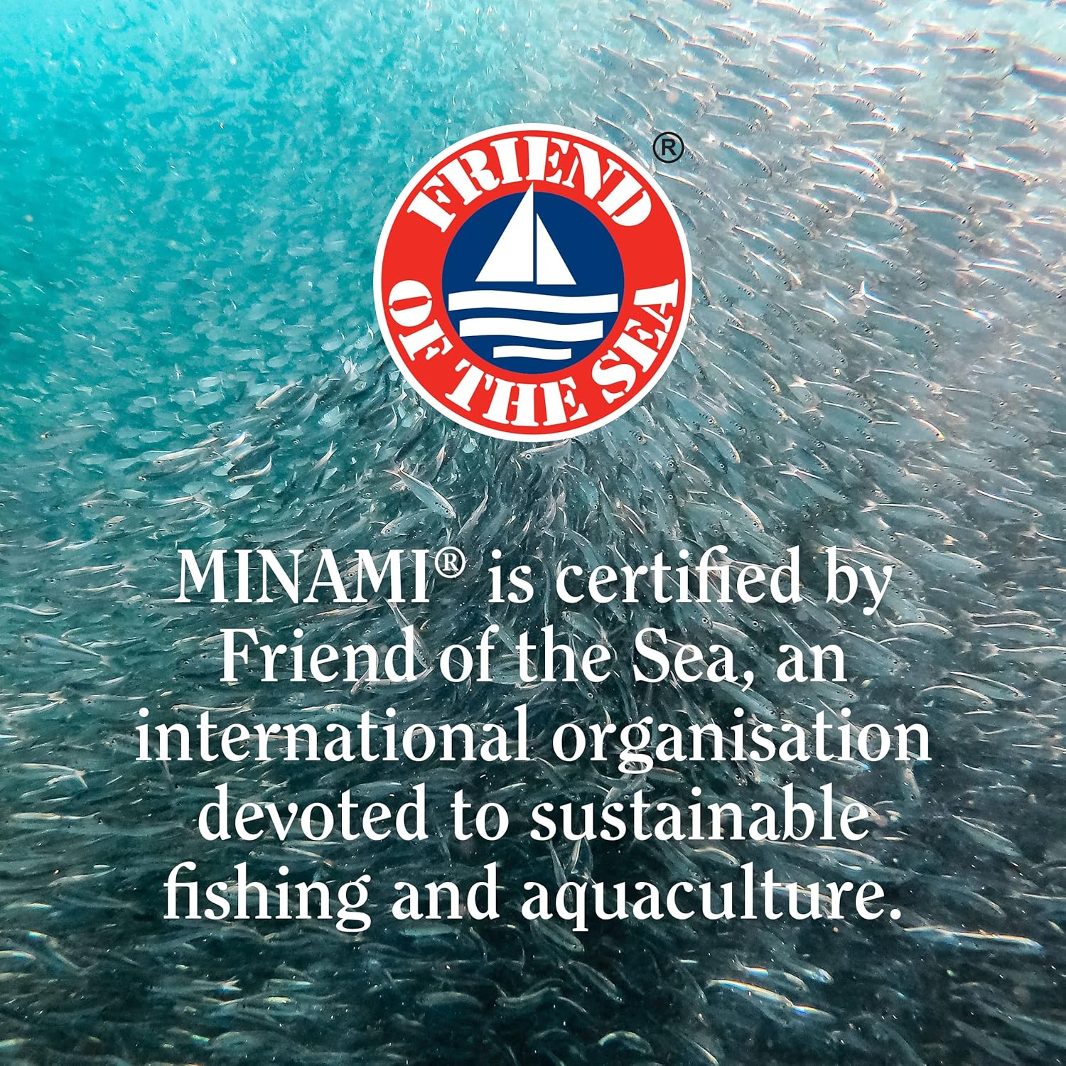 Minami MorEPA Original – High Strength Omega-3 EPA & DHA 
