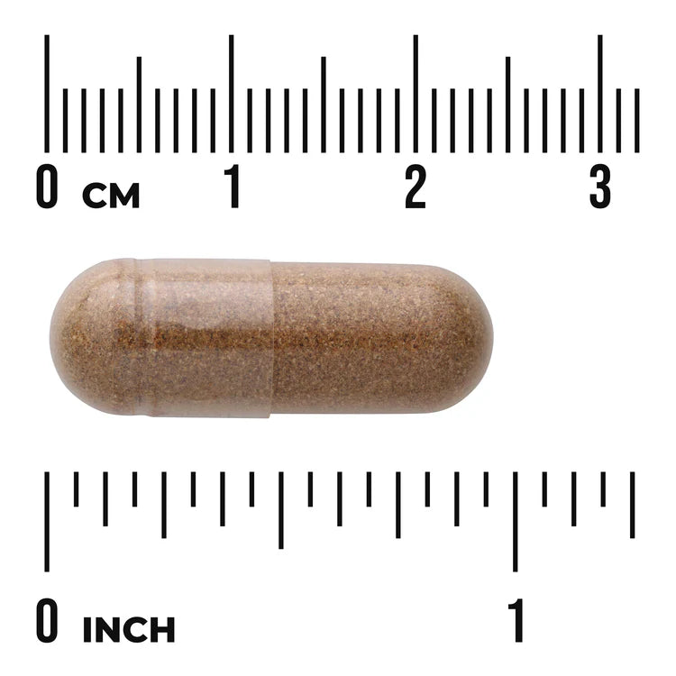Swanson Cordyceps 120 Cápsulas | Apoyo Natural para la Energía y Vitalidad