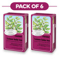 Floradix Té de hierbas orgánico de melisa - 15 bolsitas, 1.6 g cada una