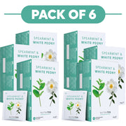 NutraTea Spearmint & White Peony Herbal Tea 20 Tea Bags Pack of 6