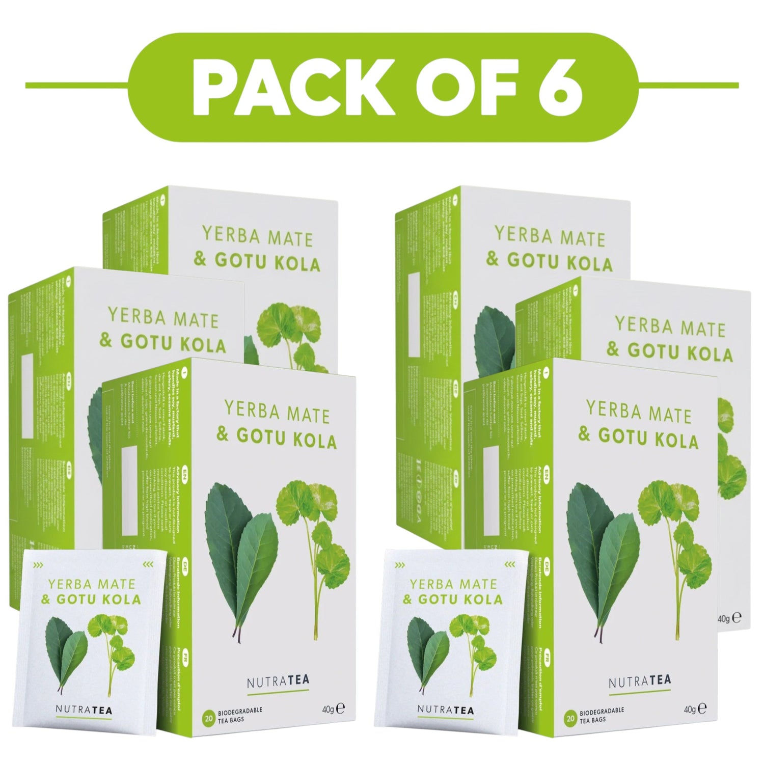 NutraTea Yerba Mate & Gotu Kola Herbal Tea 20 Tea Bags Pack of 6