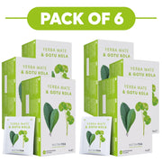 NutraTea Yerba Mate & Gotu Kola Herbal Tea 20 Tea Bags Pack of 6