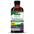 Nature’s Answer Sambucus Elderberry Liquid Extract - 120ml