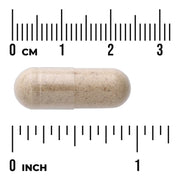 Swanson Full Spectrum Milk Thistle supplement vegan capsule size