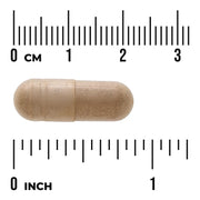 Swanson St. John's Wort Herb 375 mg - 60 Vegan Capsules size comparison with measurement scale