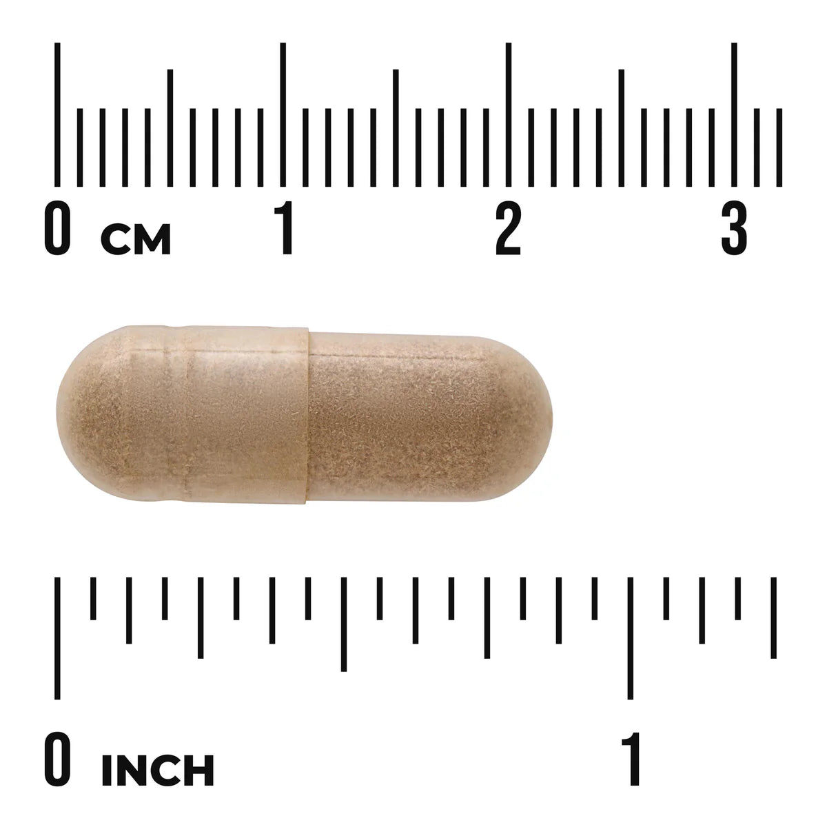 Swanson Full Spectrum Catuaba Bark 465mg 120 Vegan Capsules size comparison with measurement scale