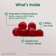 Jarrow Formulas probiotic duo gummies raspberry 50 count daily supplement