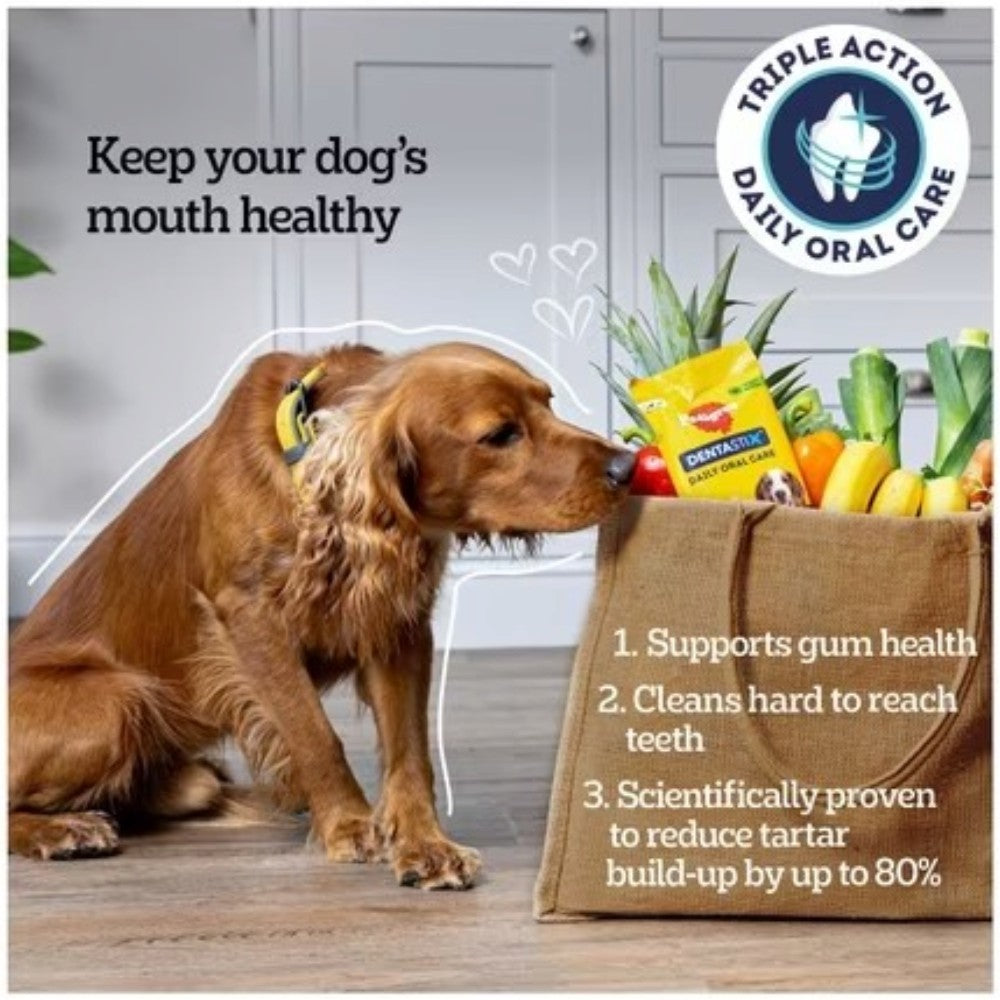 Pedigree Dentastix Medium Dogs 105 Sticks packaging showing product features and feeding information
